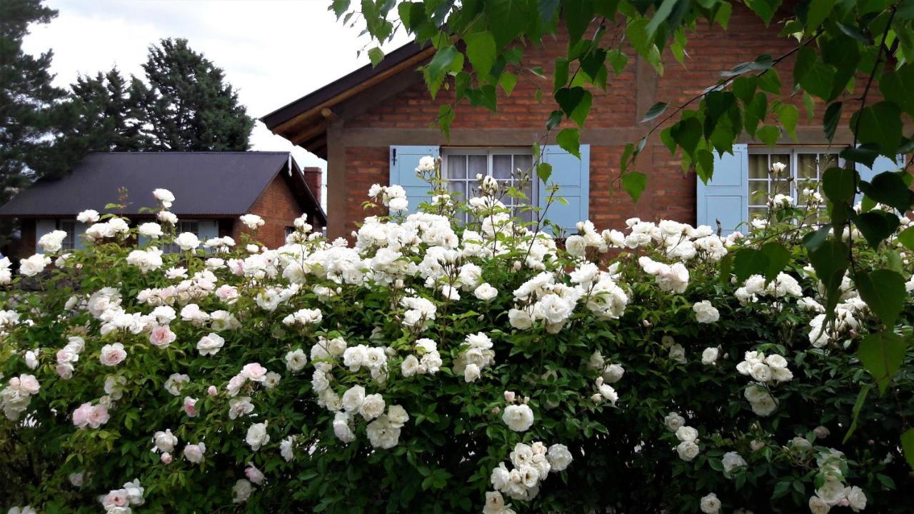 Cabañas Pyracantha Esquel Exterior foto